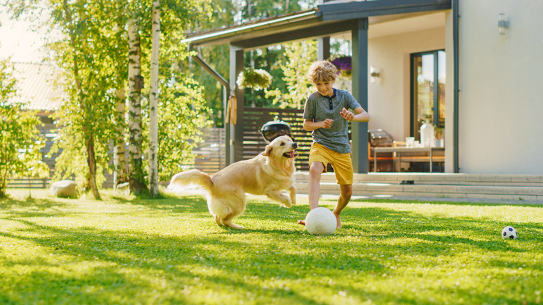 Young Boy Plays Soccer with Happy Golden Retriever Dog at the Backyard Lawn. He Plays Football and Has Lots of Fun with His Loyal Doggy Friend. Idyllic Summer House.